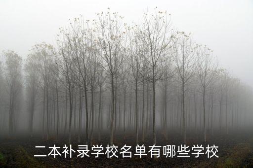 二本補錄學校名單有哪些學校