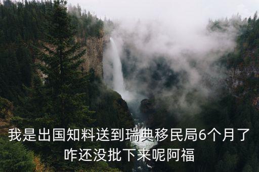 我是出國知料送到瑞典移民局6個(gè)月了咋還沒批下來呢阿福