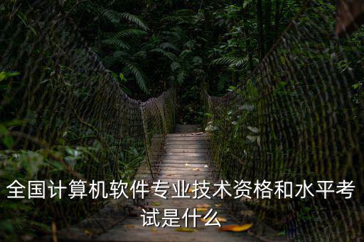 計算機技術與軟件專業技術資格考試，計算機技術與軟件專業技術資格考試好考嗎