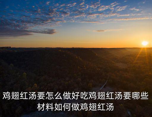 雞翅紅湯要怎么做好吃雞翅紅湯要哪些材料如何做雞翅紅湯