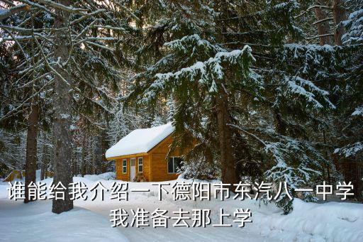 誰能給我介紹一下德陽市東汽八一中學我準備去那上學