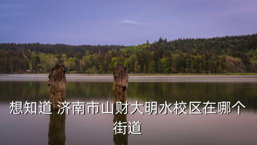 想知道 濟南市山財大明水校區在哪個街道