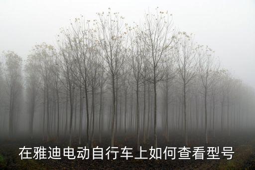 在雅迪電動自行車上如何查看型號