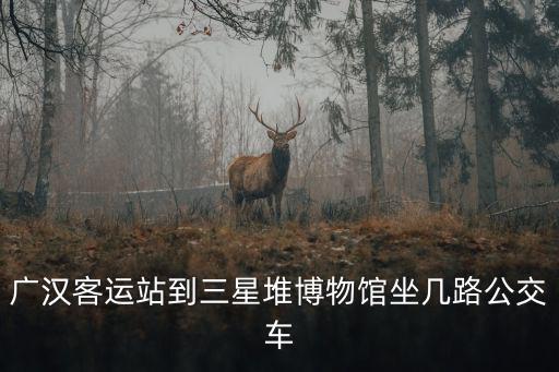 廣漢三星堆博物館，廣漢客運站到三星堆博物館坐幾路公交車