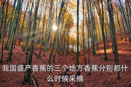 我國盛產(chǎn)香蕉的三個地方香蕉分別都什么時候采摘