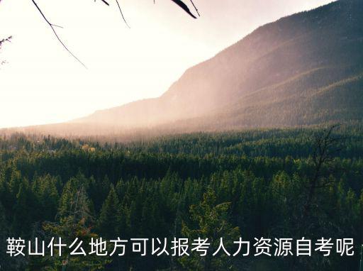 鞍山人力資源，鞍山什么地方可以報(bào)考人力資源自考呢
