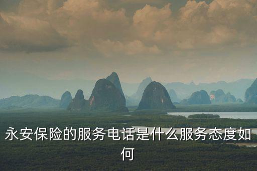 永安保險(xiǎn)的服務(wù)電話是什么服務(wù)態(tài)度如何