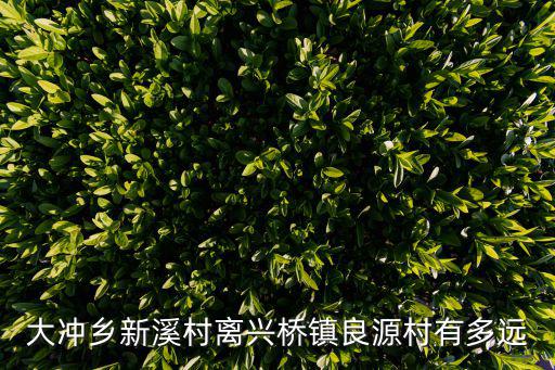 大沖鄉(xiāng)新溪村離興橋鎮(zhèn)良源村有多遠(yuǎn)