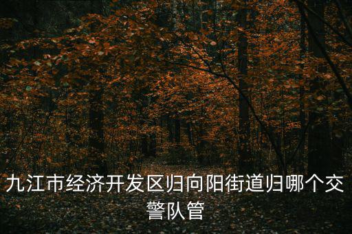 九江經(jīng)濟(jì)技術(shù)開發(fā)區(qū)，九江市經(jīng)濟(jì)開發(fā)區(qū)歸向陽街道歸哪個交警隊(duì)管