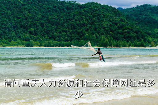 請問重慶人力資源和社會保障網址是多少