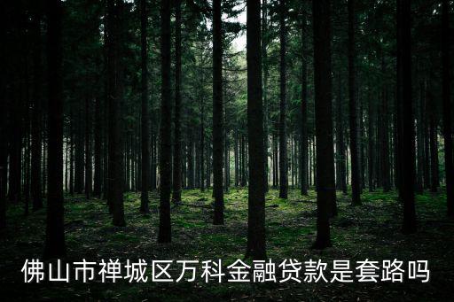 佛山市禪城區萬科金融貸款是套路嗎