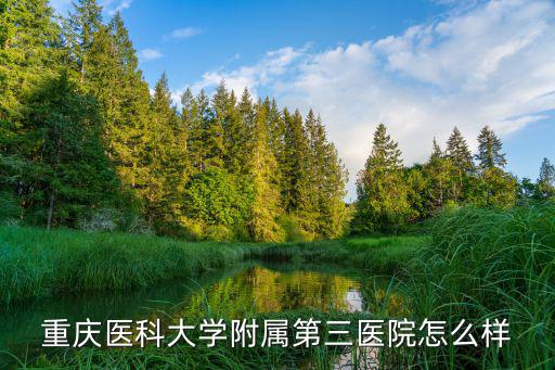 重慶醫(yī)科大學(xué)附屬第三醫(yī)院怎么樣