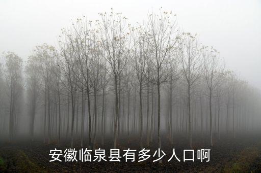 安徽臨泉縣有多少人口啊