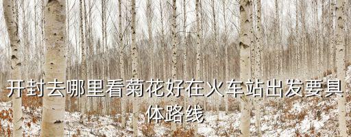 開封去哪里看菊花好在火車站出發(fā)要具體路線
