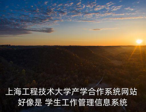 上海工程技術(shù)大學(xué)官網(wǎng)，上海工程技術(shù)大學(xué)專科