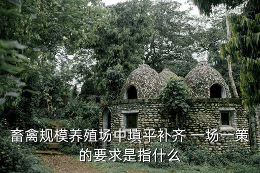 填平補齊，畜禽規模養殖場中填平補齊 一場一策的要求是指什么