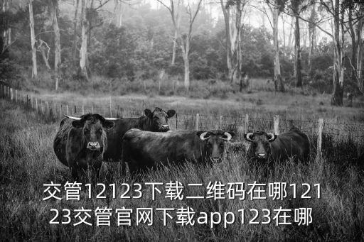 12123交管官網(wǎng)下載app，重慶12123交管官網(wǎng)下載app下載在哪里
