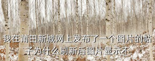 我在莆田新城網上發(fā)布了一個圖片的帖子為什么刷新后圖片顯示不