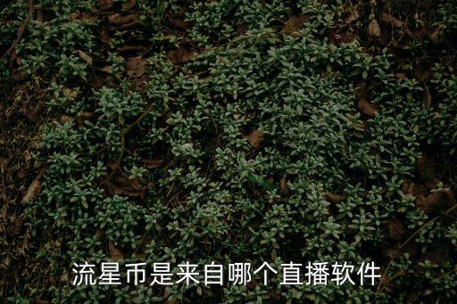流星直播，流星