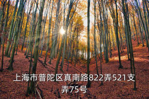 上海市普陀區真南路822弄521支弄75號