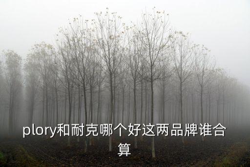 plory和耐克哪個好這兩品牌誰合算