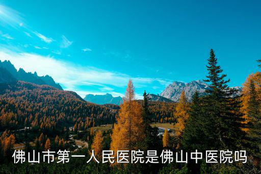 佛山市第一人民醫(yī)院是佛山中醫(yī)院嗎