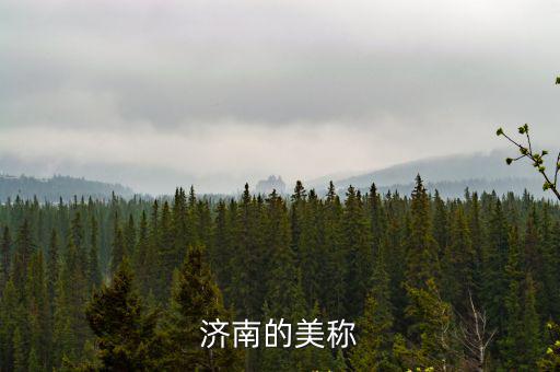 濟(jì)南別稱，濟(jì)南的美稱