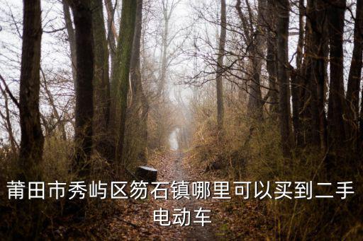 莆田市秀嶼區笏石鎮哪里可以買到二手電動車