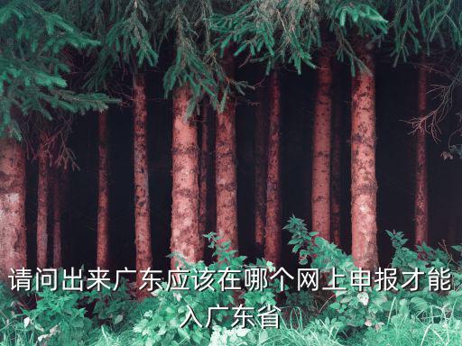 請問出來廣東應該在哪個網上申報才能入廣東省
