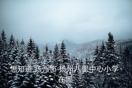想知道 揚州市 揚州八里中心小學 在哪