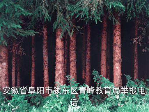 安徽省阜陽市潁東區青峰教育局舉報電話