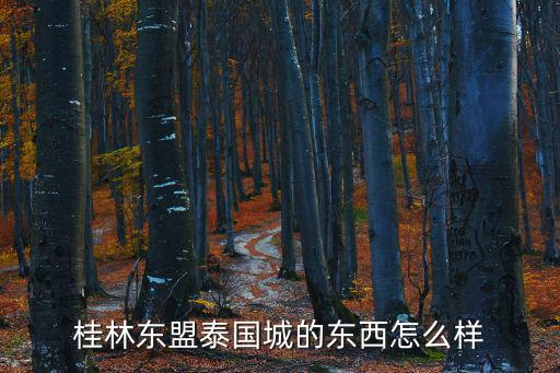桂林東盟泰國城的東西怎么樣