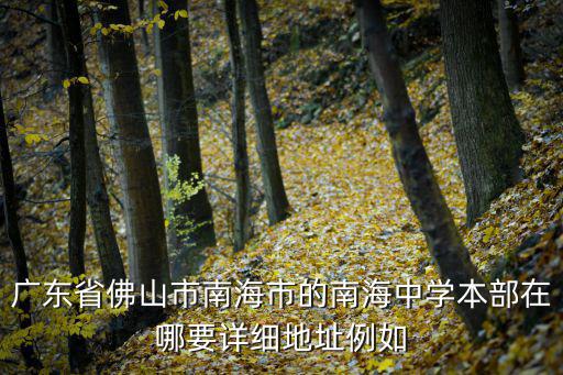廣東省佛山市南海市的南海中學本部在哪要詳細地址例如
