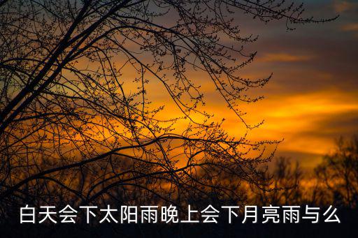 白天會下太陽雨晚上會下月亮雨與么