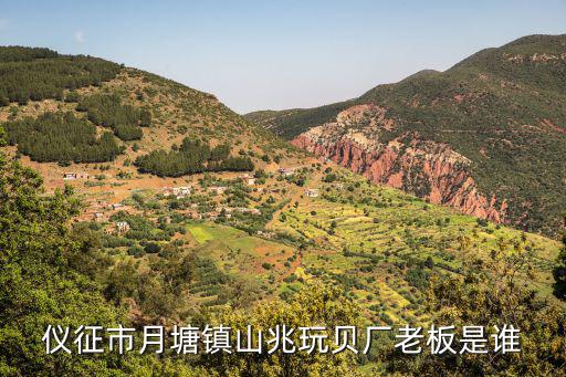 儀征市月塘鎮山兆玩貝廠老板是誰