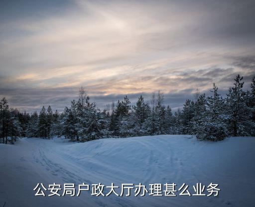 公安局戶政大廳辦理甚么業務