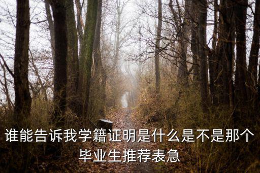 誰(shuí)能告訴我學(xué)籍證明是什么是不是那個(gè)畢業(yè)生推薦表急