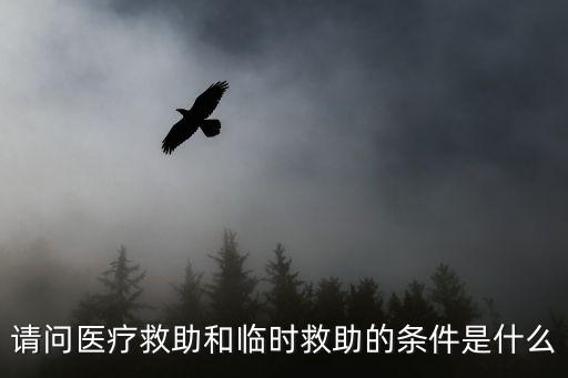 臨時(shí)救助政策，請(qǐng)問(wèn)醫(yī)療救助和臨時(shí)救助的條件是什么