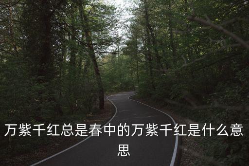 萬紫千紅總是春中的萬紫千紅是什么意思