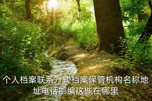 檔案托管機構，畢業 檔案放什么地方托管
