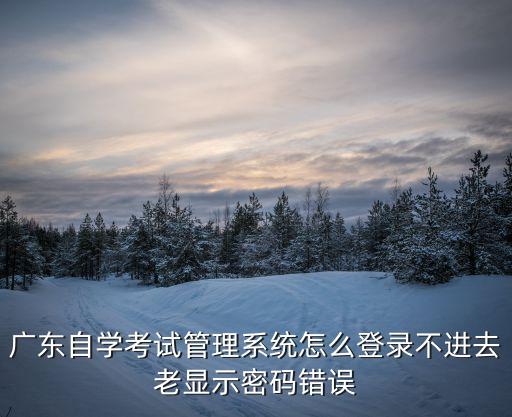 廣東自學(xué)考試管理系統(tǒng)怎么登錄不進(jìn)去老顯示密碼錯誤