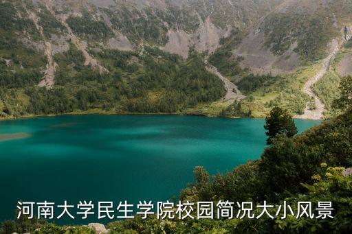 河大民生，河南大學民生學院
