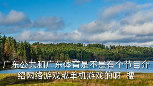 廣東公共和廣東體育是不是有個節目介紹網絡游戲或單機游戲的呀  搜