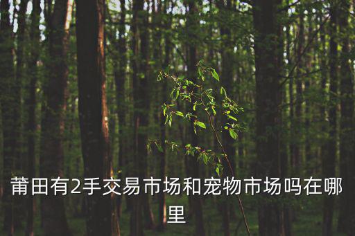 莆田有2手交易市場和寵物市場嗎在哪里