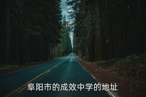 阜陽市的成效中學的地址