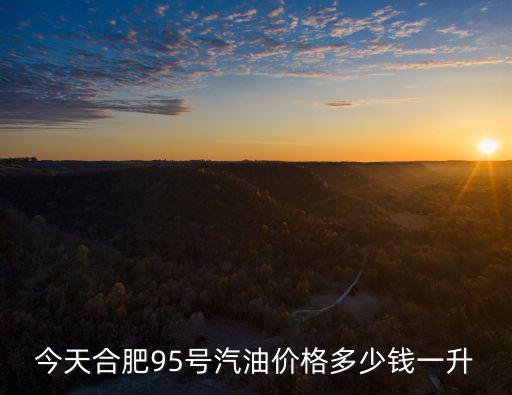 今天合肥95號(hào)汽油價(jià)格多少錢一升
