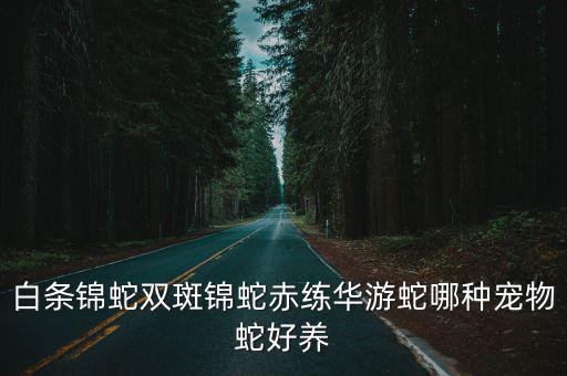 白條錦蛇雙斑錦蛇赤練華游蛇哪種寵物蛇好養