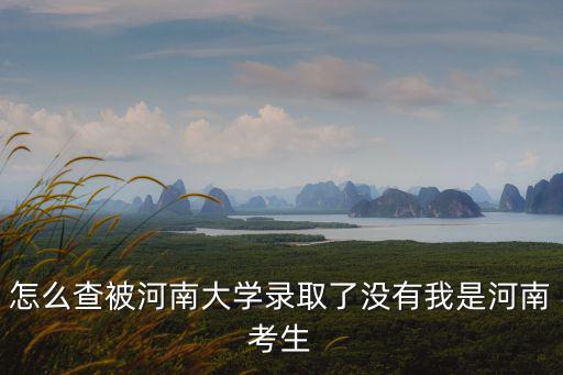 河南大學錄取查詢，怎么查被河南大學錄取了沒有我是河南考生