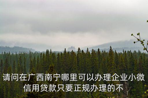 廣西貸款，關于廣西生源地貸款