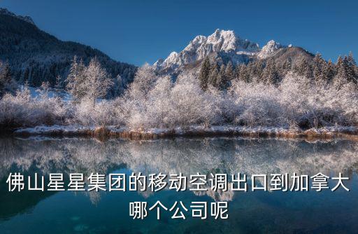 佛山星星集團的移動空調出口到加拿大哪個公司呢